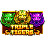 Triple Tigers Online Pokies Logo